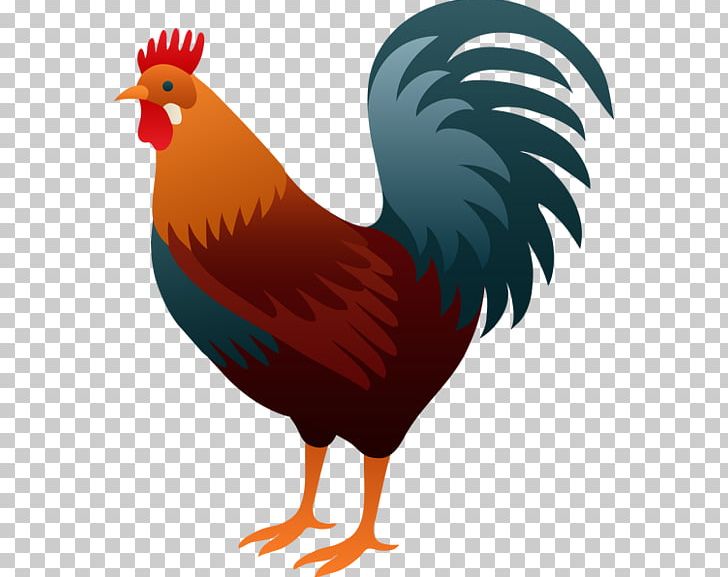 Rooster Free Content PNG, Clipart, Beak, Bird, Blog, Cartoon, Chicken Free PNG Download