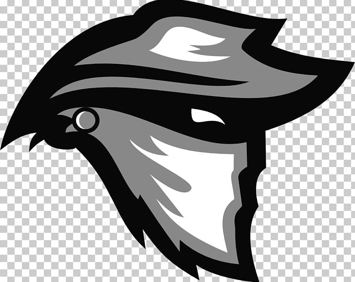 Logo Graphic Design PNG, Clipart, Art, Bandit, Bandit Logo, Beak, Bird Free PNG Download