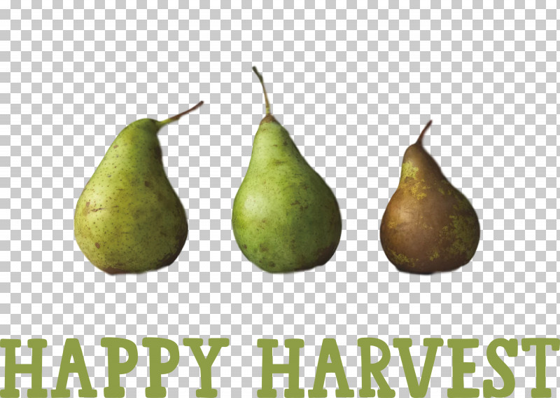 Happy Harvest Harvest Time PNG, Clipart, Fruit, Happy Harvest, Harvest Time, Pear Free PNG Download
