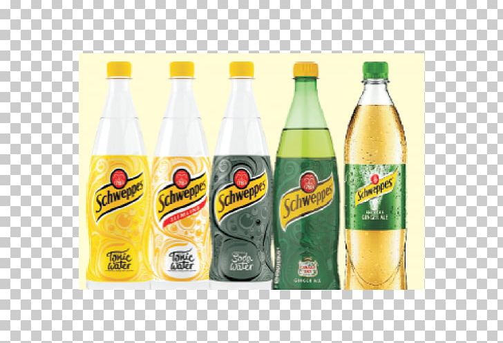 Fizzy Drinks Plastic Bottle Flavor PNG, Clipart, Bottle, Brand, Drink, Drinking, Fizzy Drinks Free PNG Download