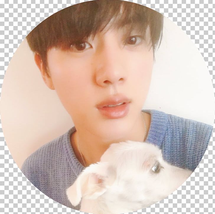 Jin BTS Dog კიმ სოკ-ჯინი PNG, Clipart, Bighit Entertainment Co Ltd, Bts, Cheek, Child, Dog Free PNG Download