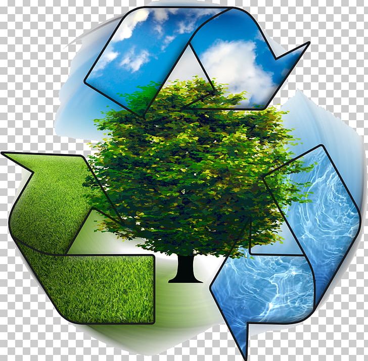 Recycling Symbol Natural Environment Environmental Management System Concept PNG, Clipart, Cleaning, Computer Wallpaper, Concept, Ecosystem, Energy Free PNG Download