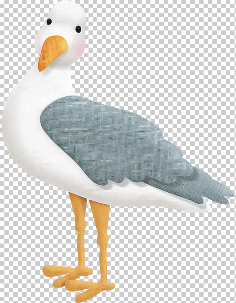 Bird Beak Seabird Water Bird Animal Figure PNG, Clipart, Animal Figure, Beak, Bird, European Herring Gull, Flightless Bird Free PNG Download