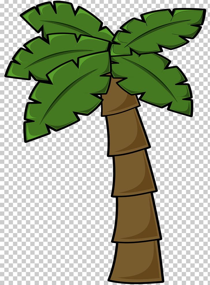 Arecaceae Tree PNG, Clipart, Arecaceae, Coconut, Date Palm, Flowering Plant, Free Content Free PNG Download