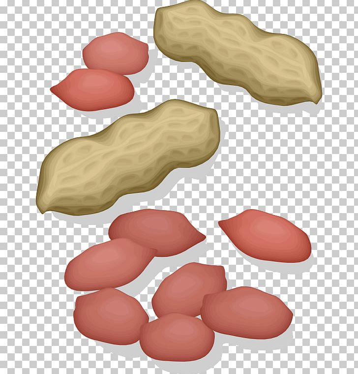 Donuts Peanut Food PNG, Clipart, Donuts, Dunkin Donuts, Flashcard, Food, Food Drinks Free PNG Download