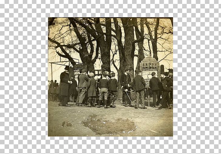 Stock Photography Tree Poster PNG, Clipart, Black And White, Hampstead Heath, History, Nature, Photography Free PNG Download