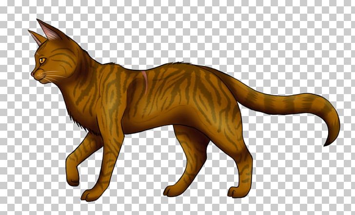 Warriors Cat Erin Hunter Fire And Ice Tigerstar PNG, Clipart, Animals, Brackenfur, Brambleberry, Brambleclaw, Carnivoran Free PNG Download