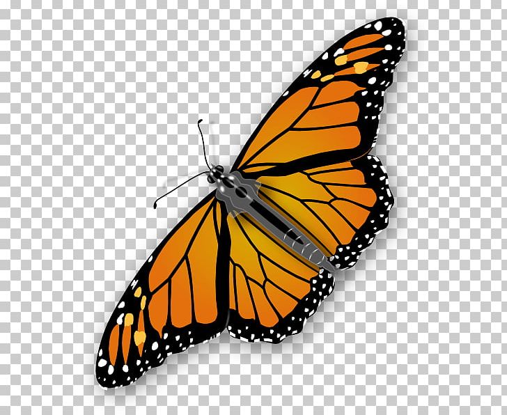 Butterfly PNG, Clipart, Blog, Brush Footed Butterfly, Computer Icons, Copyright, Fruit Free PNG Download