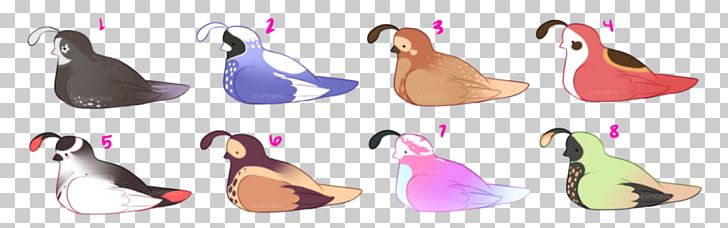 Duck Shoe Feather PNG, Clipart, Animal Figure, Animals, Beak, Duck, Ducks Geese And Swans Free PNG Download