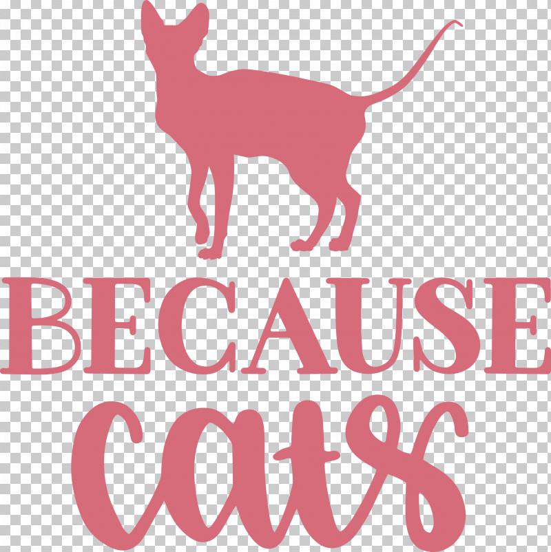 Because Cats PNG, Clipart, Cat, Dog, Leash, Logo, Meter Free PNG Download
