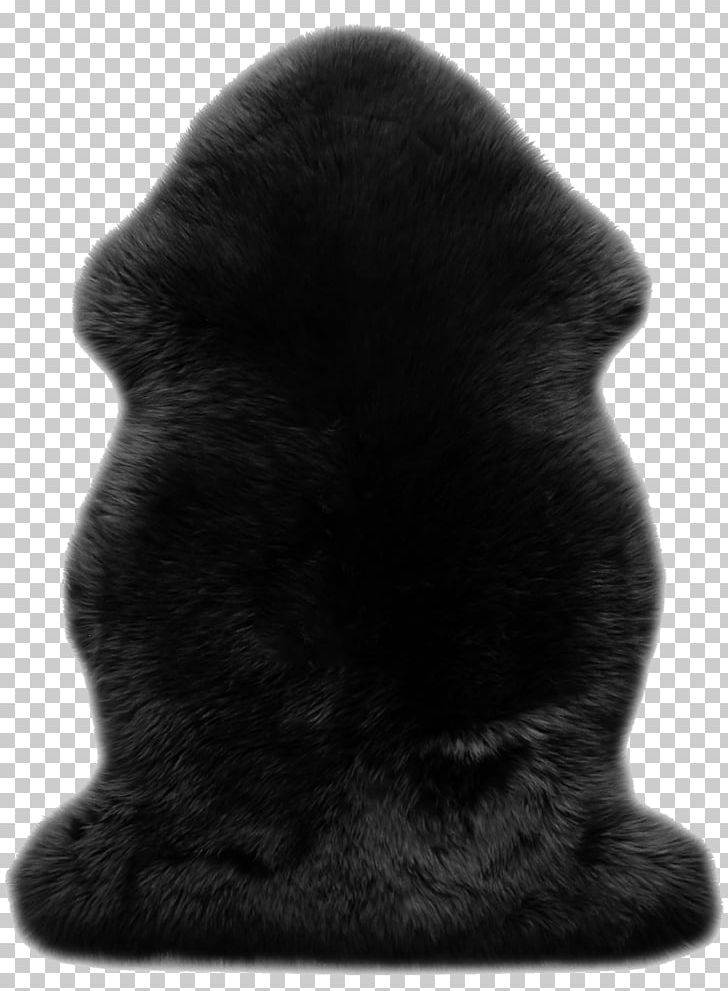 Fur Snout Black M PNG, Clipart, Black, Black And White, Black M, Fur, Headgear Free PNG Download