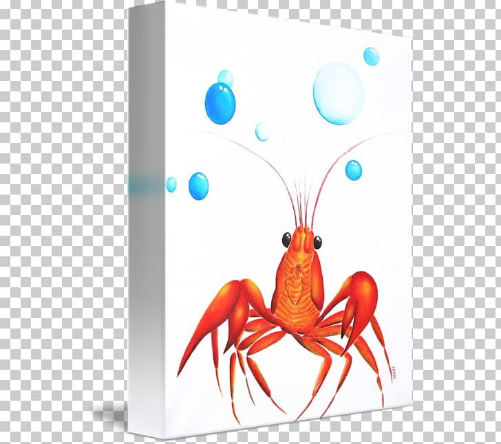 Lobster Insect Pest PNG, Clipart, Chasing Dreams, Decapoda, Insect, Invertebrate, Lobster Free PNG Download