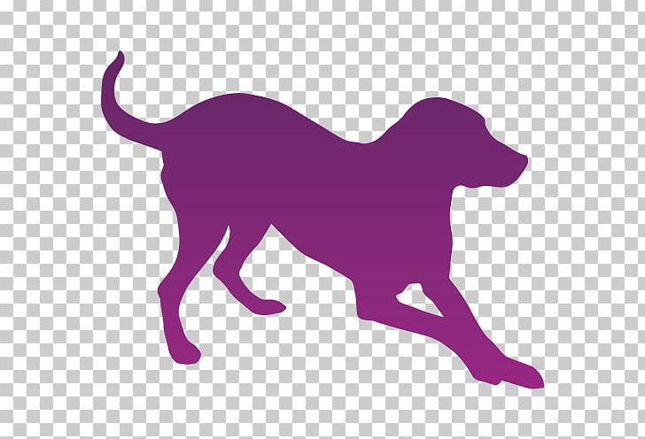 Puppy Dog Breed Cat Great Dane Pet PNG, Clipart, American Staffordshire Terrier, Animal Control And Welfare Service, Animals, Animal Shelter, Australian Cattle Dog Free PNG Download