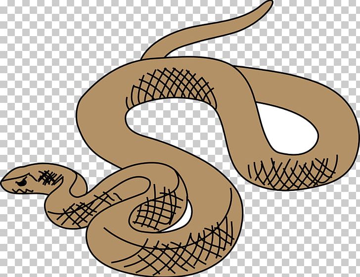 Snake Ball Python Reptile PNG, Clipart, Animals, Ball Python, Document, Green Anaconda, Organism Free PNG Download