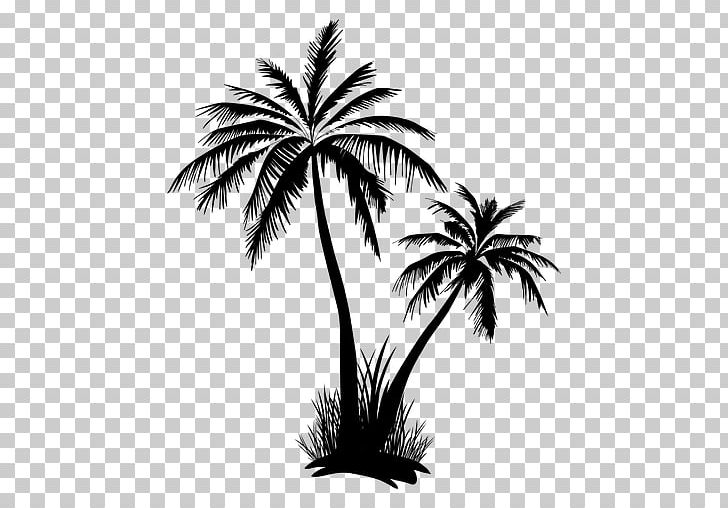 Arecaceae Tree PNG, Clipart, Arecaceae, Arecales, Black And White, Borassus Flabellifer, Clip Art Free PNG Download