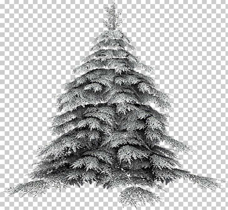 Artificial Christmas Tree PNG, Clipart, Black And White, Branch, Christmas, Christmas Decoration, Christmas Gift Free PNG Download