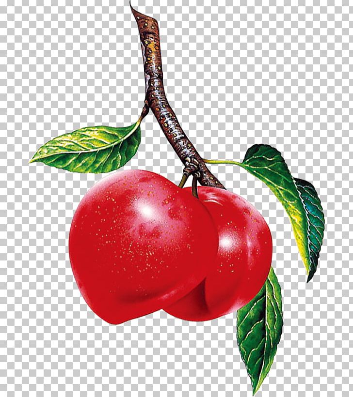 Barbados Cherry Berry Fruit Apple PNG, Clipart, Acerola, Acerola Family, Barbados Cherry, Berry, Berry Fruit Free PNG Download