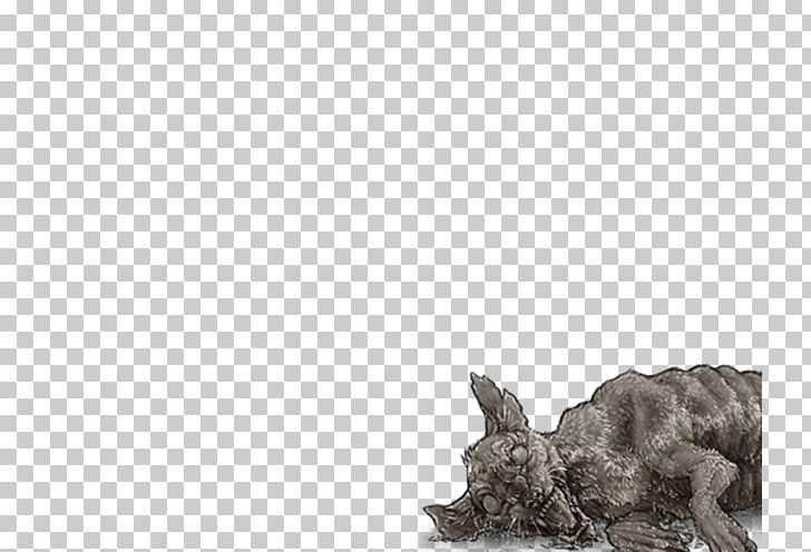 Dog Breed Striped Hyena Cheetah Cat PNG, Clipart, Animals, Big Cat, Black And White, Carnivoran, Carnivores Free PNG Download