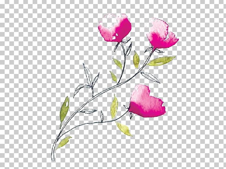 Garden Roses Floral Design Marriage Wedding Planner PNG, Clipart, Blossom, Branch, Bud, Computer Wallpaper, Cut Flowers Free PNG Download