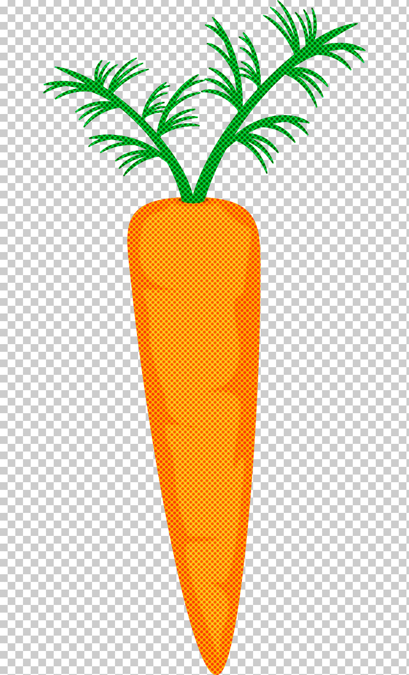 Carrot Root Vegetable Vegetable Wild Carrot Plant PNG, Clipart, Carrot, Food, Line, Natural Foods, Plant Free PNG Download