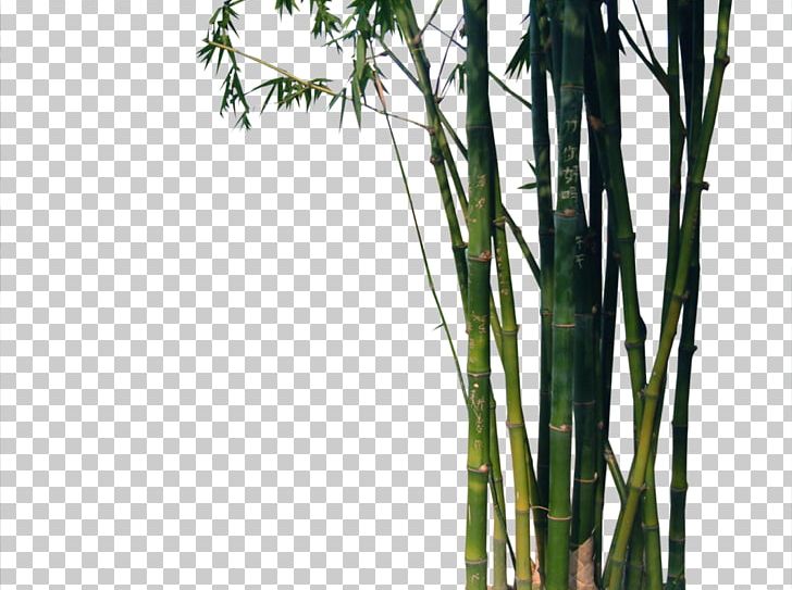 Bamboo Euclidean Bambu-chinxeas PNG, Clipart, Angle, Bamboo, Bamboo Border, Bamboo Forest, Bamboo Frame Free PNG Download