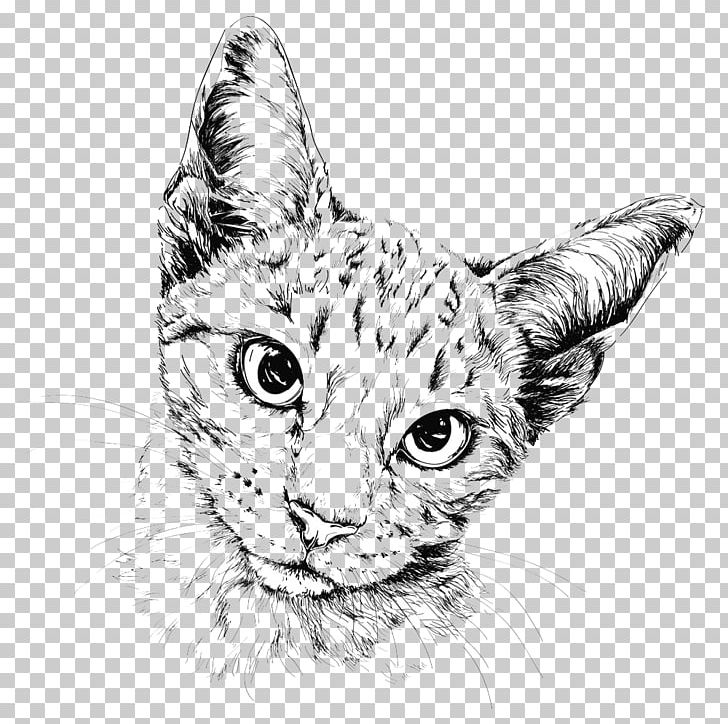 Cat Drawing Painting Illustration PNG, Clipart, Abstract, Animal, Animals, Bicolor Cat, Big Cats Free PNG Download