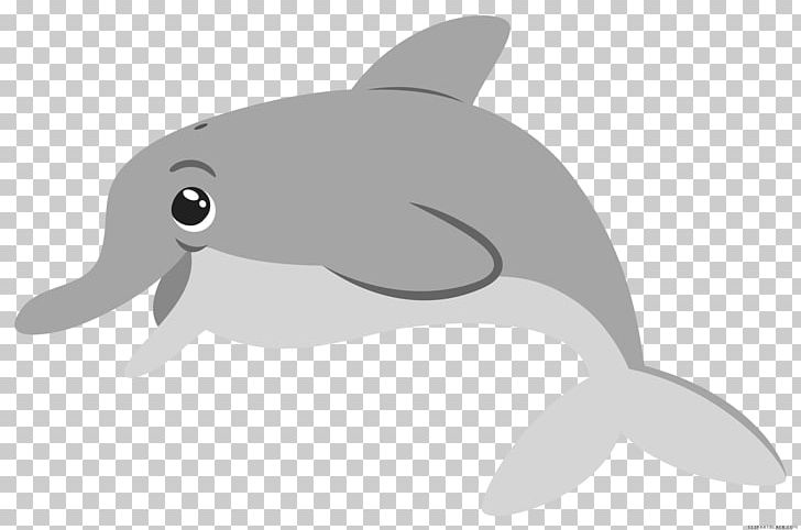 Common Bottlenose Dolphin Illustration Tucuxi PNG, Clipart, Animals, Beak, Bottlenose Dolphin, Cetacea, Desktop Wallpaper Free PNG Download