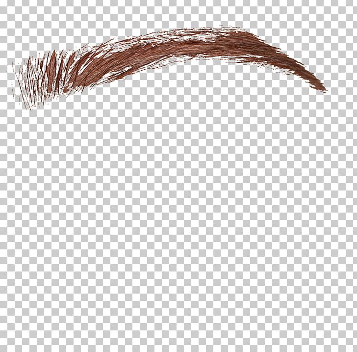 Eyebrow Eyelash Sticker Face PNG, Clipart, Computer Software, Earring, Eyebrow, Eyelash, Eyelashes Free PNG Download