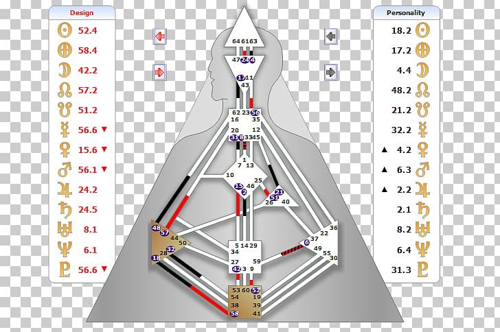 Person Homo Sapiens Astrology Self PNG, Clipart, Angle, Art, Astrology, Consciousness, Diagram Free PNG Download