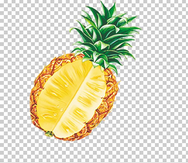 Pineapple Fruit PNG, Clipart, Agriculture, Ananas, Auglis, Bromeliaceae, Button Free PNG Download