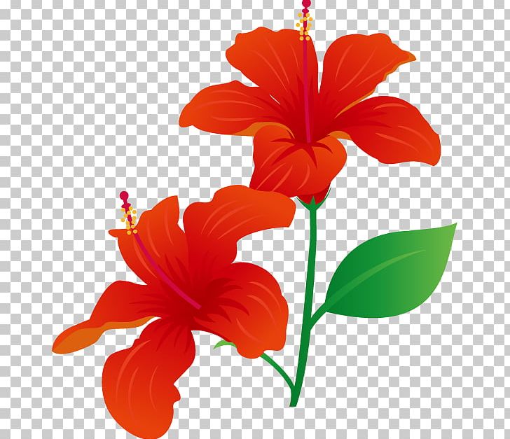Rosemallows Flower Petal Plant Stem PNG, Clipart, Art, Cartoon, Clip Art, Cut Flowers, Flower Free PNG Download