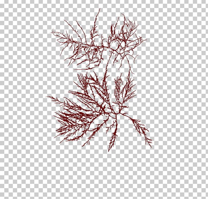 Art Landscape Painting Drawing Printmaking PNG, Clipart, Art, Black And White, Branch, Bridge, Drawing Free PNG Download