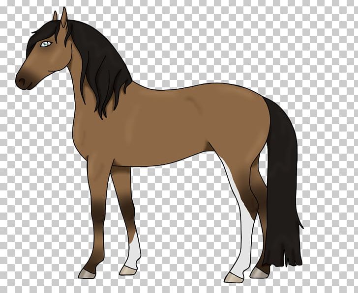 Mane Mustang Foal Stallion Colt PNG, Clipart, Bridle, Cartoon, Colt, English Riding, Equestrian Free PNG Download