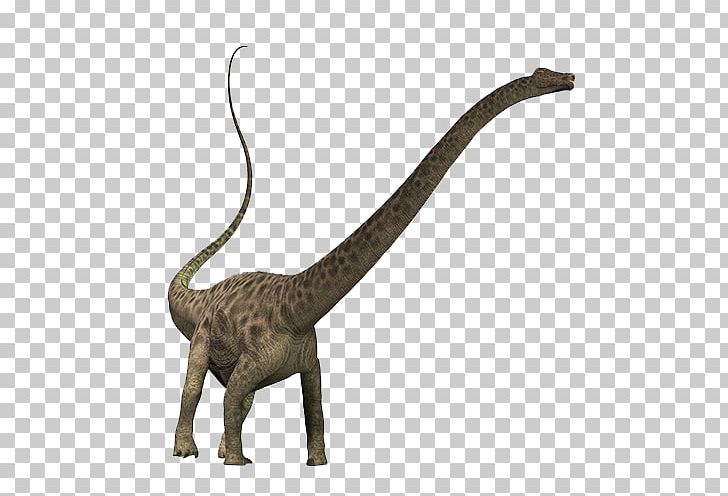 Diplodocus Brachiosaurus Dinosaur Puertasaurus Apatosaurus PNG, Clipart, Animal Figure, Aucasaurus, Big Cats, Carnivoran, Cat Like Mammal Free PNG Download
