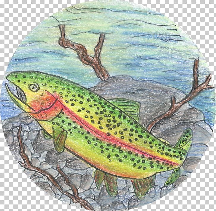 Salmon 09777 Fauna Ecosystem Trout PNG, Clipart, 09777, Ecosystem, Fauna, Fish, Organism Free PNG Download