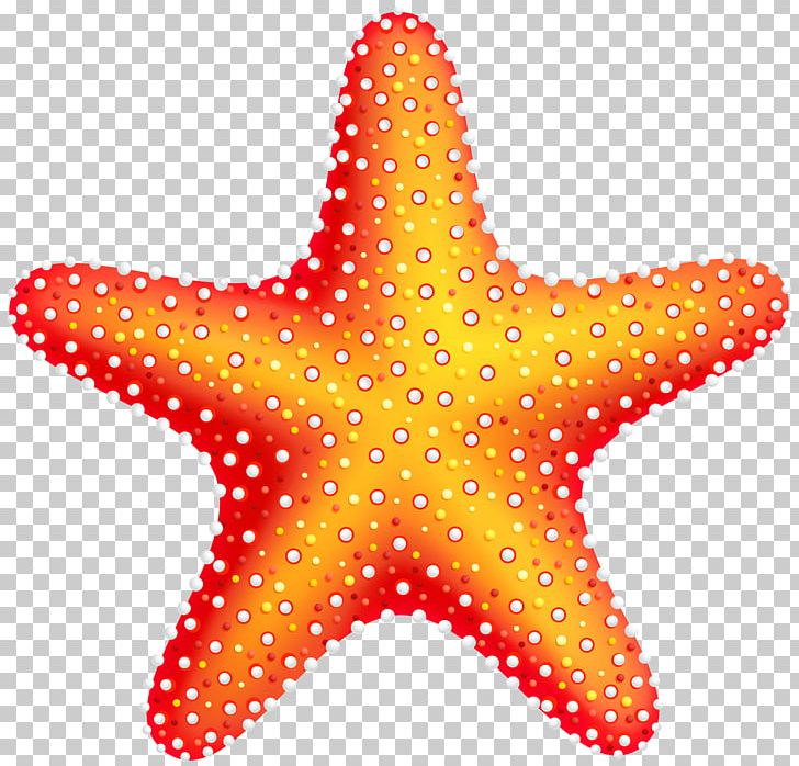 Starfish PNG, Clipart, Animal Figure, Animals, Download, Echinoderm, Gaming Free PNG Download