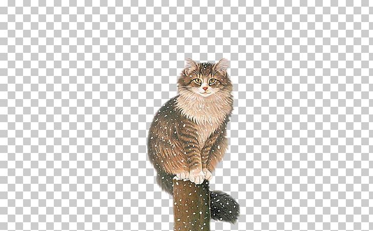 Cat Kitten Animation PNG, Clipart, Animal, Animals, Animation, Black, Black Cat Free PNG Download