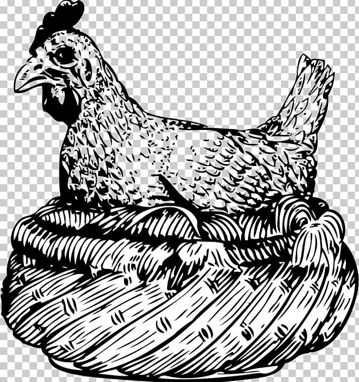 Chicken Hen Rooster PNG, Clipart, Animals, Beak, Bird, Black And White, Buffalo Wing Free PNG Download