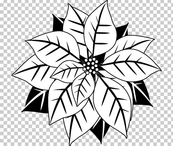 Poinsettia Christmas Black And White Flower PNG, Clipart, Artwork, Black And White, Christmas, Circle, Flora Free PNG Download