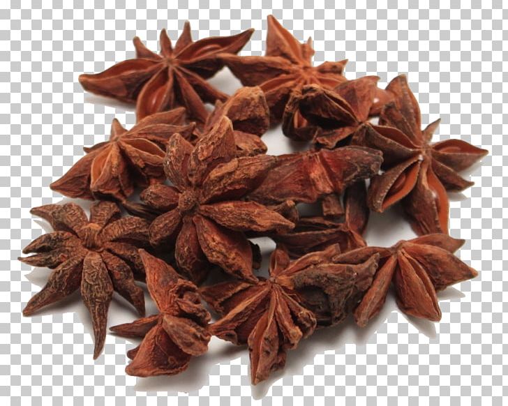 Spice Star Anise Tea Masala Chai PNG, Clipart, Anise, Aniseed, Cardamom, Cinnamon, Clove Free PNG Download