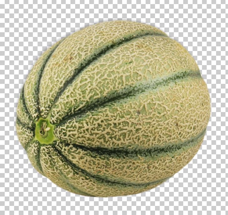 Honeydew Cantaloupe Melon Pumpkin Pregnancy PNG, Clipart, Cantaloupe, Circuit Diagram, Cucumber Gourd And Melon Family, Cucumis, Electrical Wires Cable Free PNG Download