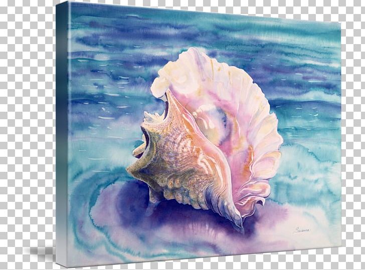 Queen Conch Watercolor Painting Seashell PNG, Clipart, Art, Artist, Canvas, Conch, Conchology Free PNG Download