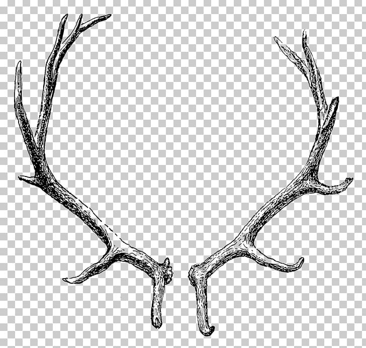 Reindeer Elk Moose Antler PNG, Clipart, Animals, Antelope, Antler, Antlers, Black And White Free PNG Download