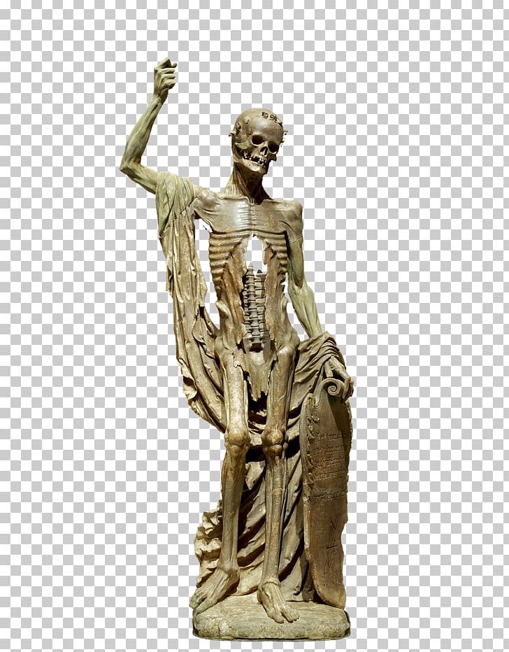 Skeleton Statue Martwa Natura Z Czaszką PNG, Clipart, Ancient History, Bisou, Bronze Sculpture, Classical Sculpture, Death Free PNG Download