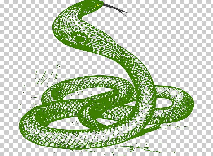 Snake Drawing King Cobra PNG, Clipart, Anaconda, Animals, Boa Constrictor, Boas, Cobra Free PNG Download