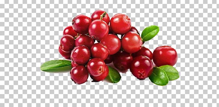 Cranberry Juice Strawberry Fruit PNG, Clipart, Bilberry, Blackcurrant, Cherry, Currant, Food Free PNG Download