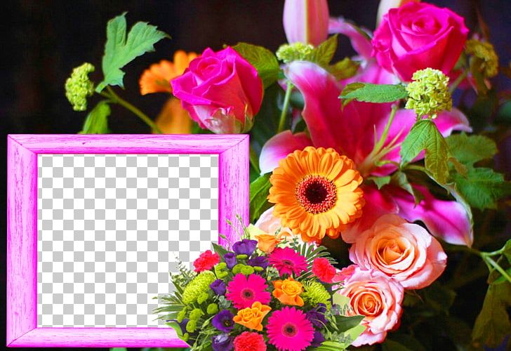 High-definition Television Flower High-definition Video 4K Resolution PNG, Clipart, 4k Resolution, Annual Plant, Aspect Ratio, Centrepiece, Cut Flowers Free PNG Download