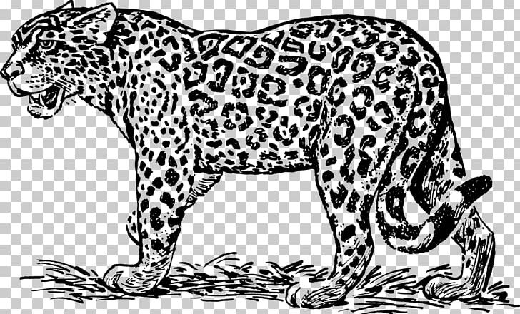 Jaguar Desktop PNG, Clipart, Big Cats, Black, Black And White, Blog, Carnivoran Free PNG Download