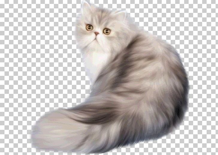 Persian Cat Classic Persian Himalayan Cat Russian Blue Kitten PNG, Clipart, Asian Semi Longhair, Avatar, Breed, British Semi Longhair, Carnivoran Free PNG Download