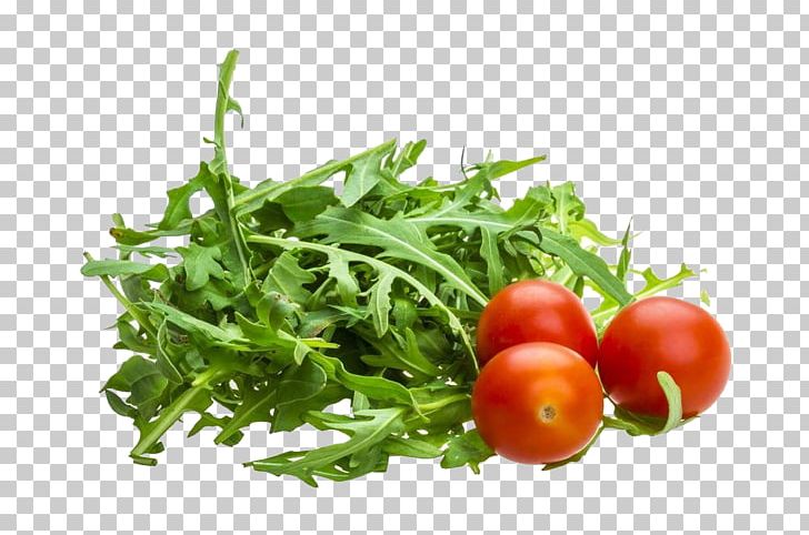 Arugula Stock Photography Rucola PNG, Clipart, Botany, Bush Tomato, Condiment, Diet Food, Dishes Free PNG Download